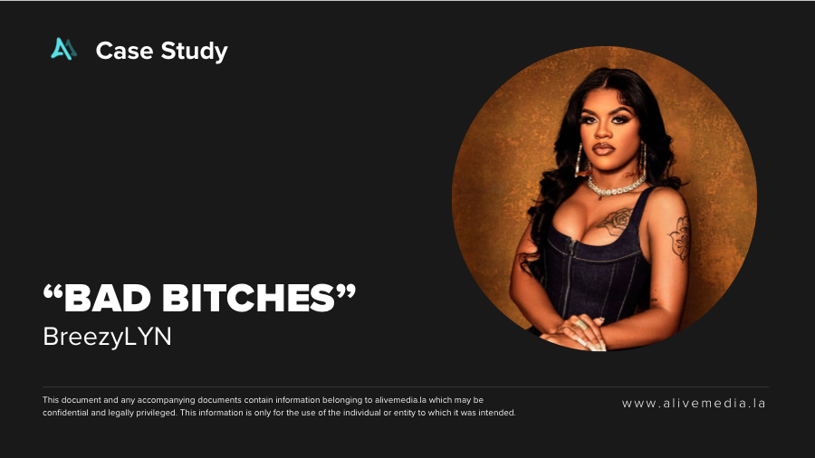 BreezyLYN Bad Bitches campaign thumbnail