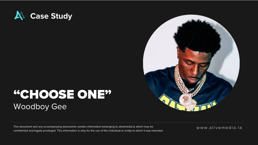 Woodboy Gee Choose One campaign thumbnail