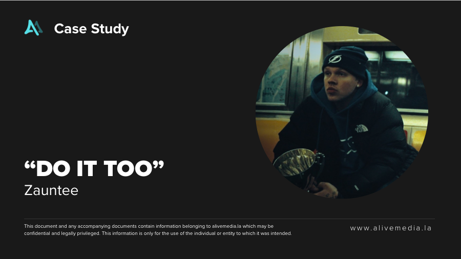 Zauntee Do It Too Zauntee Do It Too campaign thumbnail